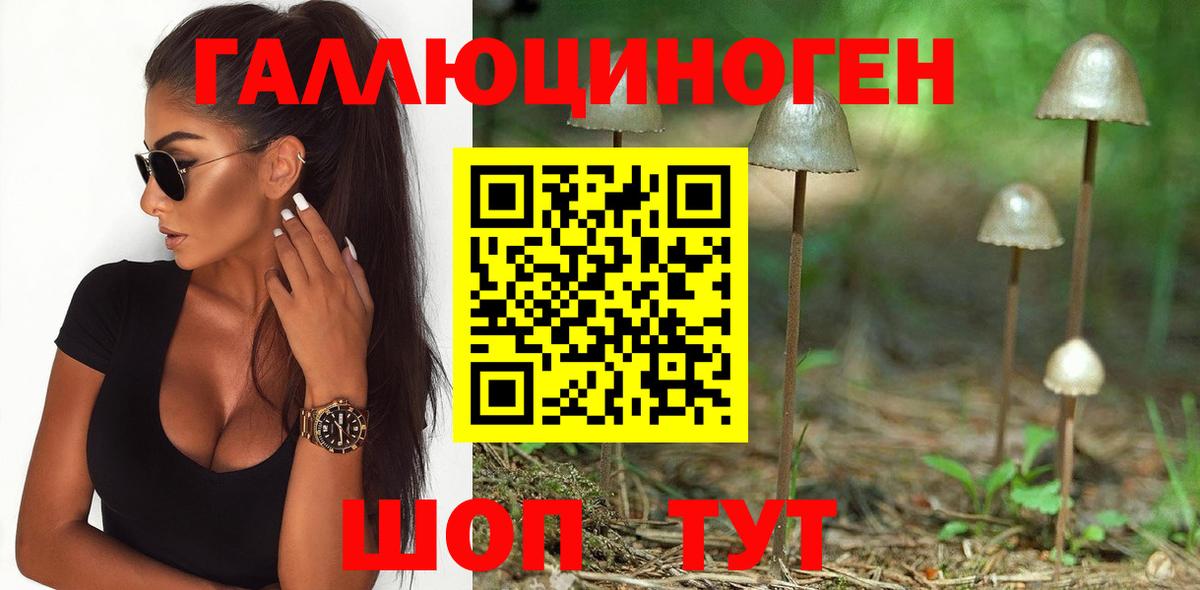 Галлюциногенные грибы прущие грибы Якутск